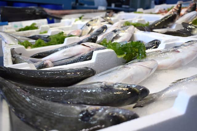 la lubina es pescado blanco o azul