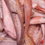 Morralla sopa