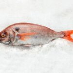 Besugo bahia (1kg aprox)
