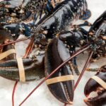 Bogavante canadiense (0,850kg aprox)