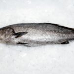 Corvina (1kg aprox)