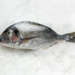 Dorada acuicultura (0,5kg aprox)