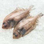 Gallo plano (0,5kg aprox)