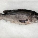 Mero bahía (1,5kg aprox)