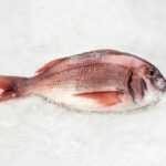 Pargo bahia (1kg aprox)