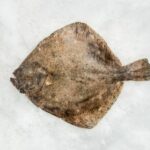 Rodaballo acuicultura (1,6kg aprox)