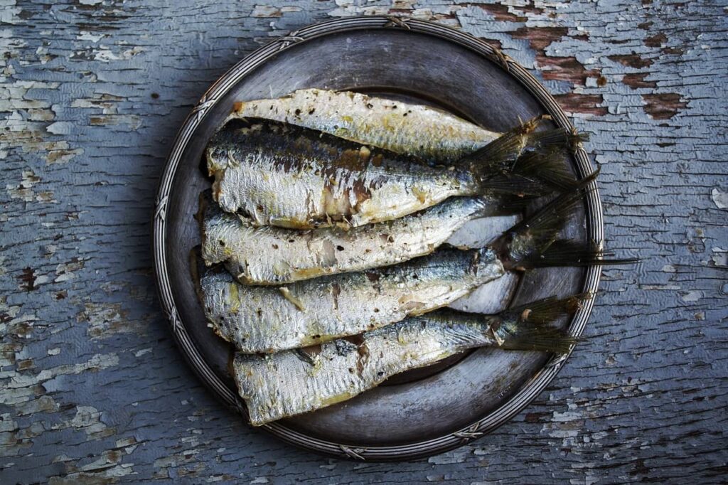 pescados con más omega 3