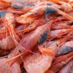 Quisquilla mediana