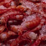 Colas de gamba
