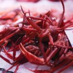 Cangrejo rojo