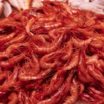 Gamba arroz