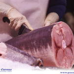 Emperador (filetes)
