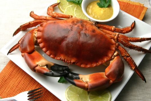 ¿Cuál es la diferencia entre centollo y buey de mar? Descubre cómo distinguirlos fácilmente