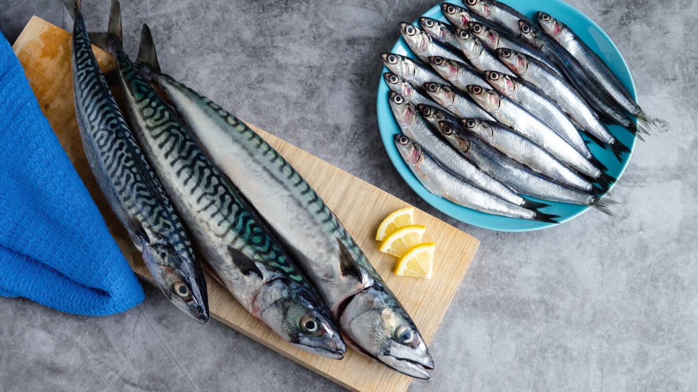 Gallo, ¿pescado blanco o azul? Descubre su clasificación, beneficios y cómo disfrutarlo