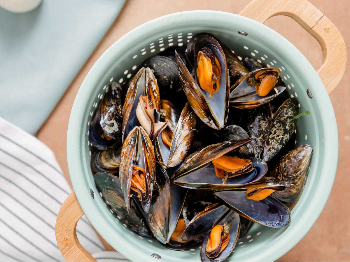 Cómo limpiar los mejillones paso a paso y sin complicaciones